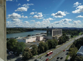 Alexplatz Danube View
